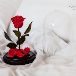 Ищите оригинальный подарок? Завораживающая роза в колбе Notta&Belle станет уникальным презентом для ее будущего обладателя на целых пять лет. Теперь и в Комсомольске-на-Амуре! ...