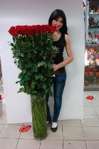 Растения объявление но. 1050622: Купить розы в Минске