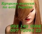Салоны красоты объявление но. 1119098: Покупаем славянские натуральные волосы дорого