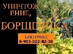 Растения объявление но. 1552027: Уничтожение,обработка Борщевика в Серпухове