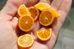 Экстракт цитрусовых. Биофлавоноиды цитрусовых являются растительными природными пигментами, найти которые можно конечно же в цитрусовой фрукте в лимоне, мандарине, апельсин, грейпфруте и в сладком лай ...