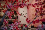 Приглашаем вас с семьей и друзьями в наше кафе Chloe в центре Санкт-Петербурга с цветочной стеной и интерьером, который отлично подойдет для самых ярких и красочных фото, а самое главное - Вас поразит ...