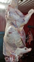 Продукты питания объявление но. 1998672: Мясо-говядина порода СИММЕНТАЛЬСКАЯ в полутушах