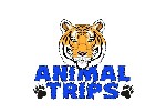 Компания Animal Trips оказывает услуги по перевозке животных через границу как наземным,  так и воздушным транспортом.  При перемещении на дальние расстояния подходит авиаперелет,  если расстояние неб ...