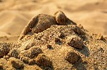 Речной песок добывают на дне озер и рек,  он представляет собой мелкие частицы разрушенных горных пород.  Этот однородный материал обычно имеет высокую плотность и часто бывает,  что коэффициент насып ...