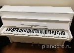 Если у вас возникла необходимость в продаже старого пианино или рояля зарубежного производства - мы с радостью готовы вам помочь.  
Мы выкупаем инструменты ведущих европейских и мировыз производителе ...