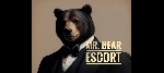 Эскорт-агентства, салоны объявление но. 2917668: Mr.  Bear Escort