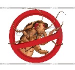 Разное объявление но. 976616: МЫТИЩИ СРЕДСТВО от клопов тараканов и всех насекомых для уничтожения в квартире офисе на даче гарантия