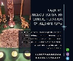Услуги объявление но. 3512151: Гадалка в Киеве – помощь в сложных жизненных ситуациях.