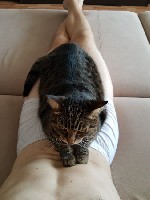 Парень, ищу девушку объявление но. 3942822: Ищу девушку для регулярного секса