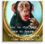 Девушка, ищу парня объявление но. 3443193: И не важно сколько даме лет если классно делает миньет