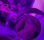 Интим-девушки, индивидуалки объявление но. 3435561: Девушка хочет найти мужчину