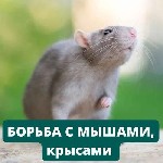Бытовые услуги объявление но. 3451999: Санитарная обработка