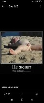 Девушка, ищу парня объявление но. 3278300: Приглашу девушку