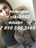 Интим-девушки, индивидуалки объявление но. 3645793: научу всем позам