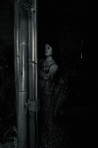 Интим-девушки, индивидуалки объявление но. 3895434: Страсть и жаркий темперамент !!!