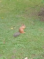 Парень, ищу девушку объявление но. 3900872: Бедолага с членом 17см.  Нужен кому дамы??