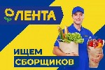 Обслуживающий персонал объявление но. 3856733: Сборщик онлайн заказов в гипермаркет Лента