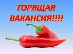 Вакансии - разовая работа объявление но. 1003732: Работа для ответственных! Удаленная вакансия