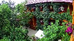  Отель "Иволга" из натурального дерева, это в самом центре всех жизненно важных объектов пгт. Коктебель. 
Рядом в пяти шагах находится центральный рынок. В 10 метрах от отеля расположено "Бистро", гд ...