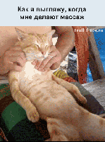 Массаж объявление но. 1039655: Массаж на дому в Смоленске