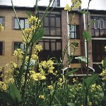 Продам квартиру объявление но. 1087475: Жилищный Комплекс "Кленовая Роща" Купи Себе Мечту.