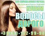 Разное объявление но. 1102878: Продать волосы дорого. Волосы. Скупка волос.