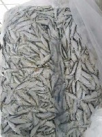 Продукты питания объявление но. 1103397: Тюлька азовская см