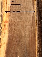 Строительные материалы объявление но. 1103542: Дуб, ясень, бук, липа пиломатериалы от производителя оптом.