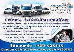 Разное объявление но. 1131388: С Р О Ч Н О требуются ВОДИТЕЛИ