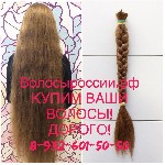 Салоны красоты объявление но. 1141420: Купим Ваши волосы в Оренбурге очень дорого!