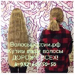 Салоны красоты объявление но. 1141420: Купим Ваши волосы в Оренбурге очень дорого!
