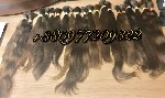 Салоны красоты объявление но. 1145479: Продать куплю волосы Запорожье. Скупка Волос.