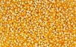 Разное объявление но. 1180797: На посевную кампанию 2018 года семена кукурузы