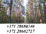 Куплю участок объявление но. 1217659: покупаю лес в Латвии!!!!