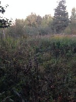 Продам участок объявление но. 1430293: Продается земельный участок площадью 12 соток, Московская обл., Одинцовский район, пос. НИИ Радио