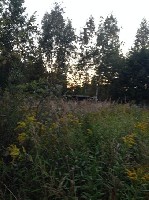 Продам участок объявление но. 1430293: Продается земельный участок площадью 12 соток, Московская обл., Одинцовский район, пос. НИИ Радио