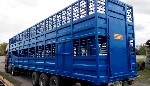 Грузовые автомобили объявление но. 1515862: Двухэтажный полуприцеп скотовоз SCHMITZ (для перевозки животных)