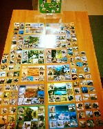 Для дошкольников объявление но. 1530514: Развивающая игра "Зоологическое лото" на 5 языках