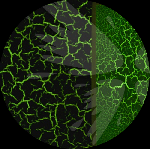 Отделочные материалы объявление но. 1541836: Светящиеся материалы для ремонта