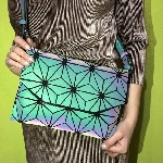 Аксессуары объявление но. 1634720: Сумки и Рюкзаки Хамелеон доставка по России Бесплатно.