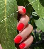 Салоны красоты объявление но. 1669855: Маникюр, педикюр, оформление и окраска бровей