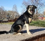 Услуги объявление но. 1682489: Идеальная Чарочка ищет идеальную семью