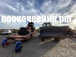 Уборка объявление но. 1849339: Расчистка заросших земель от кустов , деревьев, корней