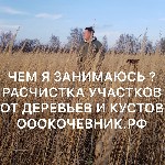 Строительные услуги объявление но. 1873858: Услуги/Аренда Мульчера. Комплексная расчистка с/х полей. Валка леса. Мульчер бульдозер ООО «Кочевник»