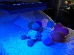Уход за больными объявление но. 1875025: Аренда лампы Philips для лечения желтухи у новорожденных (высокий Били