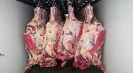 Продукты питания объявление но. 1998672: Мясо-говядина порода СИММЕНТАЛЬСКАЯ в полутушах