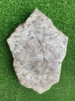 Строительные материалы объявление но. 2007618: Производство и укладка тротуарной плитки