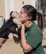 Отдам в хорошие руки объявление но. 2241126: Продаются чудесные обезьяны-капуцины