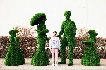 Ремонт, строительство объявление но. 2437533: Топиарные фигуры из искусственной травы для ландшафтного дизайна